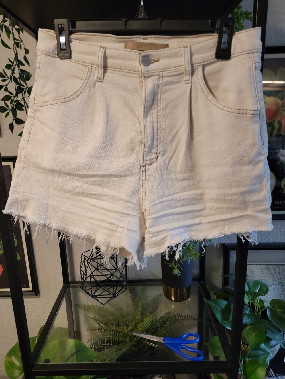 Joe's Shorts